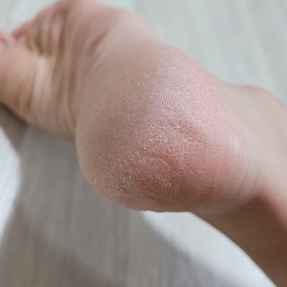루나님이 올린 리뷰 사진 2