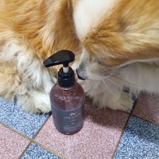 마리앤루이펫샴푸 [mari and louie pet shampoo] — 5점을 준 리뷰어가 2021년 5월 올린 사용 사진
