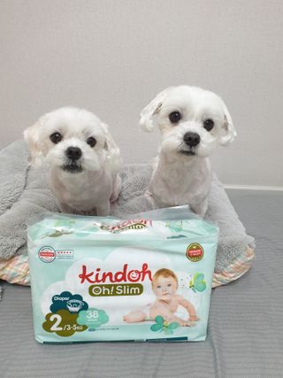 뽀야님이 올린 리뷰 사진 1
