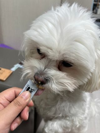 정꾸꾸님이 올린 리뷰 사진 3