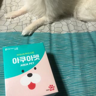 펫시랩 반려견용 액상 프리바이오틱스 아쿠아펫 — 5점을 준 리뷰어가 2021년 1월 올린 사용 사진