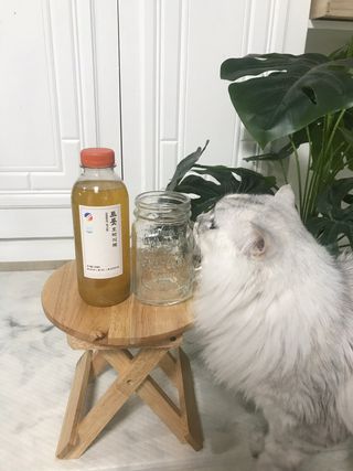 fively님이 올린 리뷰 사진 2