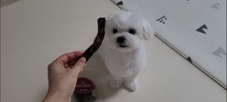 쏘이님이 올린 리뷰 사진 3