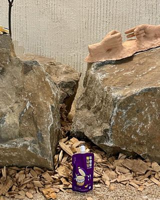 밸런스 다이어트랩 밸다랩 빠나나 푸룬즙 90ml X 24포 — 5점을 준 리뷰어가 2023년 4월 올린 사용 사진