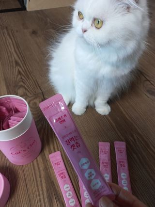 좋아님이 올린 리뷰 사진 2