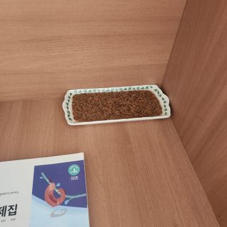 해피트리님이 올린 리뷰 사진 2