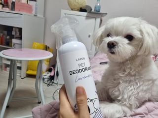 노지혜님이 올린 리뷰 사진 3