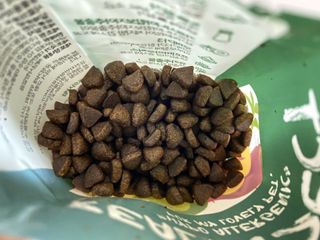 [푸디웜] 라포그  리얼인섹트 웨이트밸런스 저알러지 강아지 사료  1.2KG — 2.5점을 준 리뷰어가 2021년 7월 올린 사용 사진