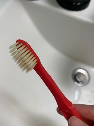 볼딱이엄마님이 올린 리뷰 사진 2