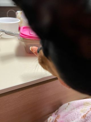 코코몰리 오랄케어 데일리 맛있게 건강한 반려동물 안심치약 — 5점을 준 리뷰어가 2021년 3월 올린 사용 사진