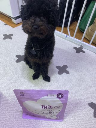 My Pet Care 천연단백질 치아건강에 개좋아 — 2.5점을 준 리뷰어가 2021년 1월 올린 사용 사진