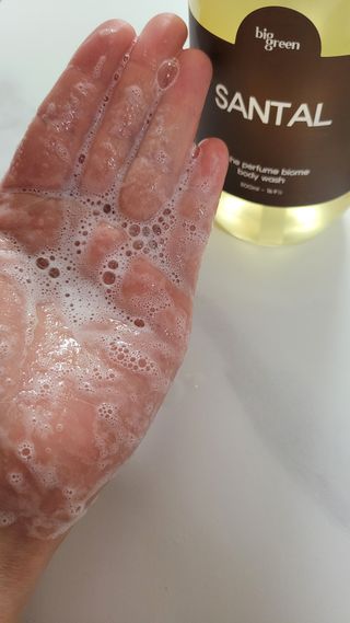 빅그린 니치 퍼퓸 바이옴바디워시 500ml(상탈, 블랙베리&베이, 블랑쉐 3종 중 택1) — 4.5점을 준 리뷰어가 2022년 12월 올린 사용 사진