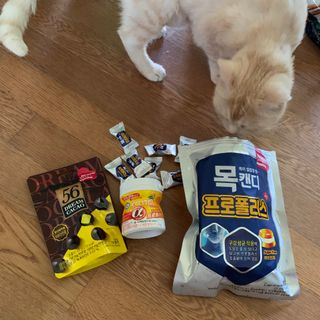 시리꽃님이 올린 리뷰 사진 3
