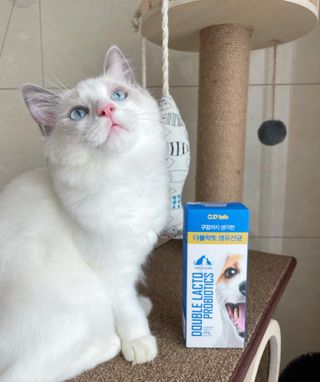 ccoyo님이 올린 리뷰 사진 1