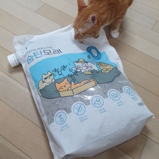 Dal님이 올린 리뷰 사진 1