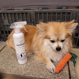 좋아님이 올린 리뷰 사진 2