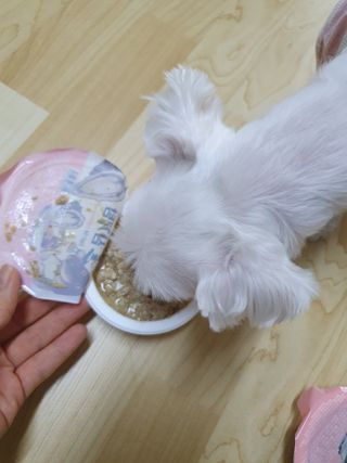 수니니님이 올린 리뷰 사진 4