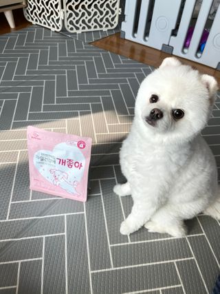 My Pet Care 천연단백질 관절건강에 개좋아 — 4.5점을 준 리뷰어가 2021년 1월 올린 사용 사진