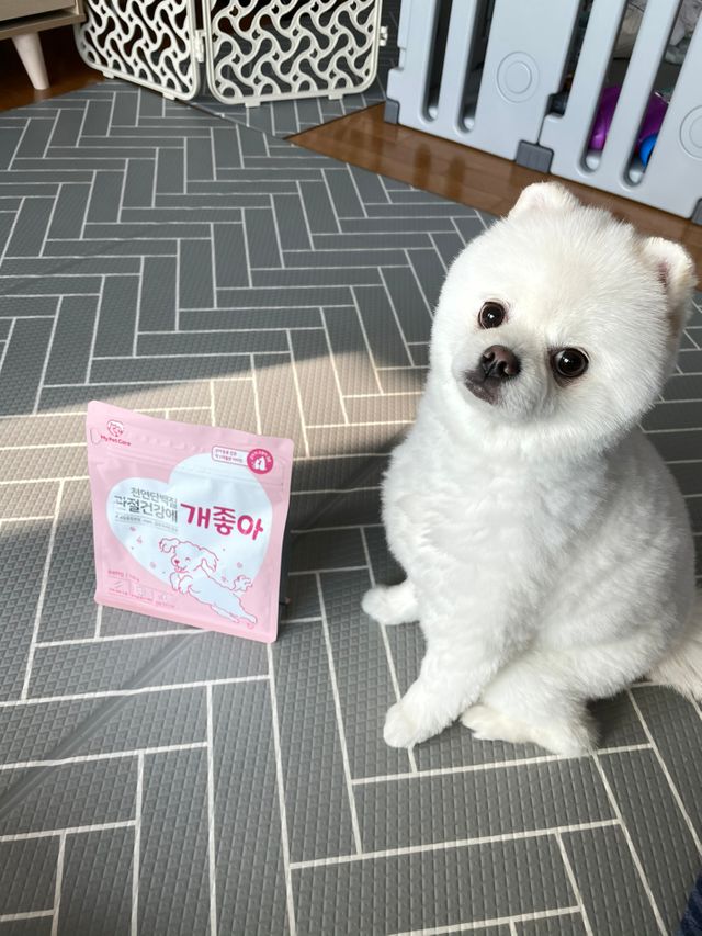 천연단백질 관절건강에 개좋아 리뷰 사진