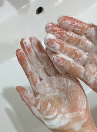 메리님이 올린 리뷰 사진 2