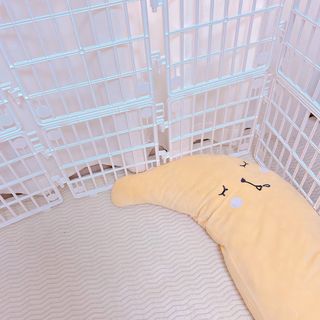 예이님이 올린 리뷰 사진 3