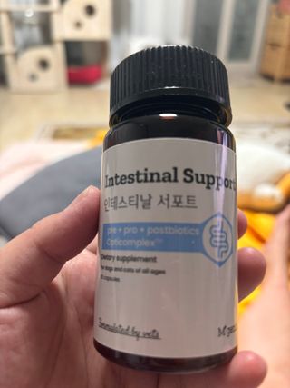 젤공주님이 올린 리뷰 사진 3