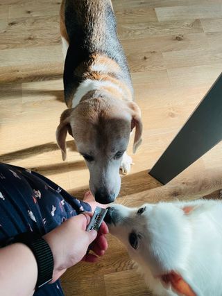 진진님이 올린 리뷰 사진 3