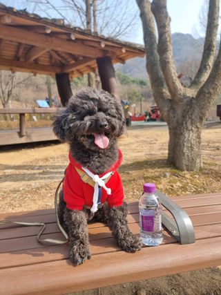 몽베스트 [MONTBEST] 330mL 20병 — 5점을 준 리뷰어가 2023년 3월 올린 사용 사진