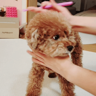 리뷰하는래미씨님이 올린 리뷰 사진 2