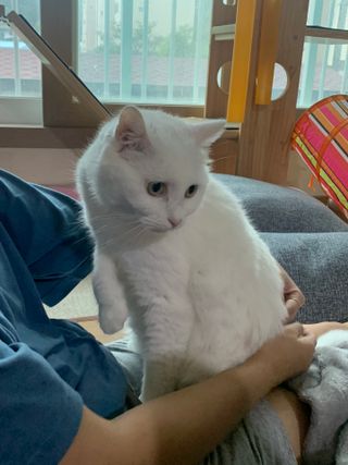 뉴트리션팩토리 비타프렙 오큐슈프림 루테인 오메가3 1050mg — 5점을 준 리뷰어가 2021년 9월 올린 사용 사진