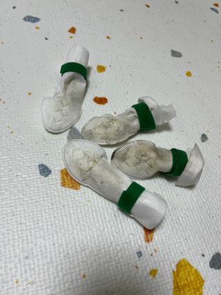 코보콩 에어슈즈 강아지 일회용 신발 소용량 패키지 20매 초경량  미끄럼방지 실내외 겸용 — 5점을 준 리뷰어가 2022년 2월 올린 사용 사진