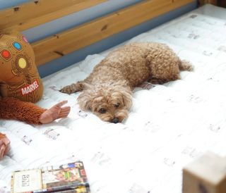 윤디캔디님이 올린 리뷰 사진 1