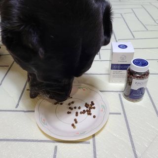 기린짱맘님이 올린 리뷰 사진 4