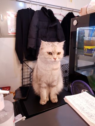 Hellen1004님이 올린 리뷰 사진 2
