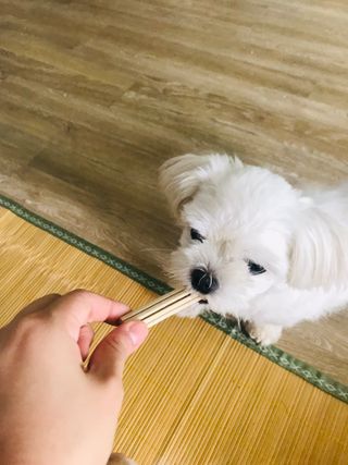 이아님이 올린 리뷰 사진 3