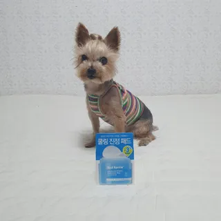 솜희님이 올린 리뷰 사진 3