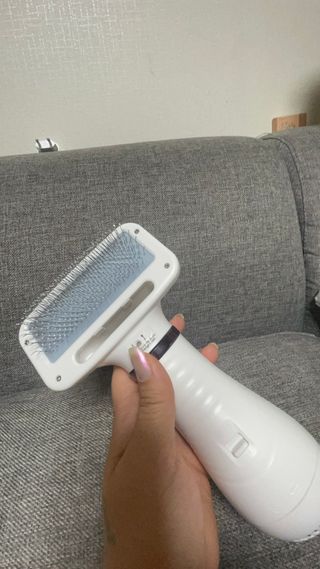 아베크 펫 강아지 고양이 애견 에어 브러쉬 드라이기 올인원 — 5점을 준 리뷰어가 2021년 7월 올린 사용 사진