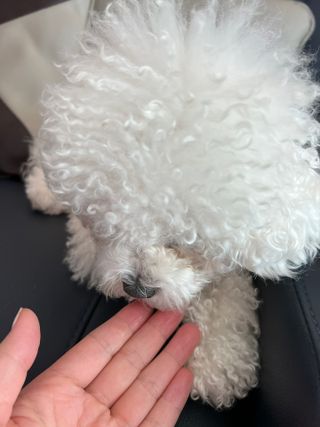 큐티윤님이 올린 리뷰 사진 3