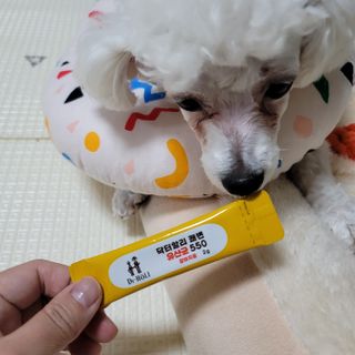 미르별님이 올린 리뷰 사진 1