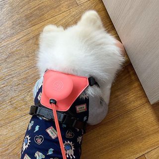 신블리마미님이 올린 리뷰 사진 4