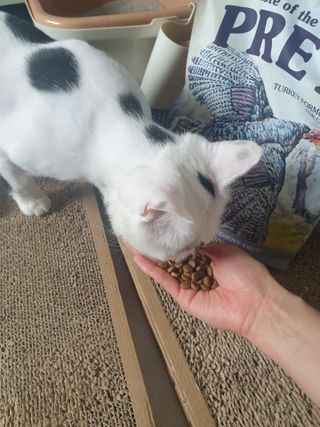bini님이 올린 리뷰 사진 3