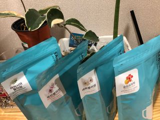 산그리메 아카시아+목련+매화+슬림 유자차 Set — 5점을 준 리뷰어가 2021년 10월 올린 사용 사진