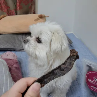 혜린님이 올린 리뷰 사진 4