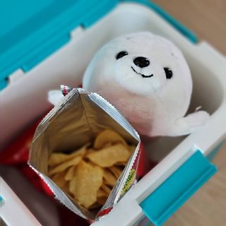 물끼님이 올린 리뷰 사진 2