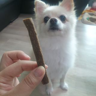 My Pet Care 천연단백질 치아건강에 개좋아 — 5점을 준 리뷰어가 2020년 12월 올린 사용 사진