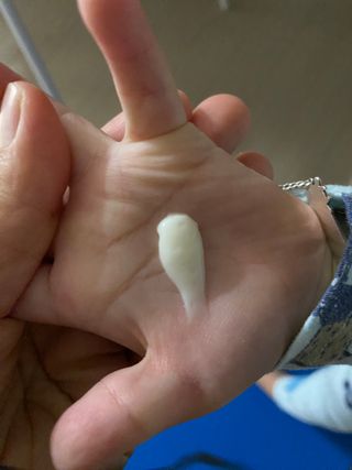 산다화 비타민C 화이트닝 크림 — 4점을 준 리뷰어가 2023년 10월 올린 사용 사진