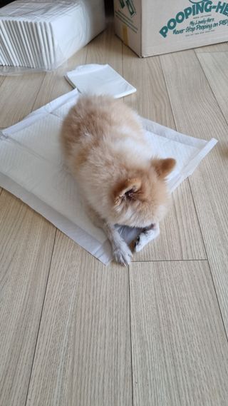 보미누나님이 올린 리뷰 사진 1