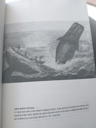 햇님달님님이 올린 리뷰 사진 1
