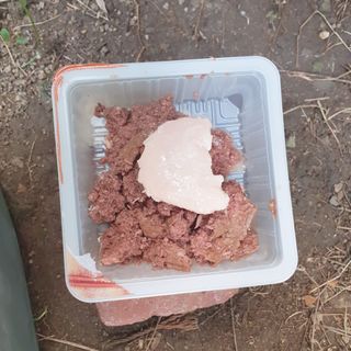 도그퓨어 푸드닭 강아지 닭고기 통살 애견간식 오리지널/차전자피/초록입홍합 — 4점을 준 리뷰어가 2021년 11월 올린 사용 사진