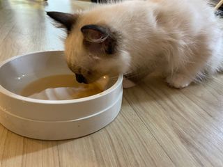 율집사님이 올린 리뷰 사진 3